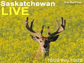 Bowhunting Whitetails in Saskatchewan - a LIVE Bowhunt from Bowsite.com