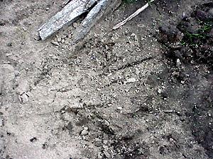 Strut marks in the dirt