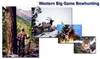 Bowhunting Western Big Game